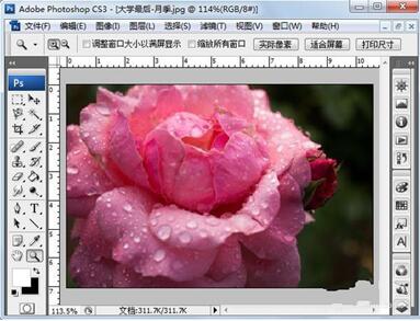 ps旋轉(zhuǎn)快捷鍵 ps旋轉(zhuǎn)快捷鍵的正確打開(kāi)方式